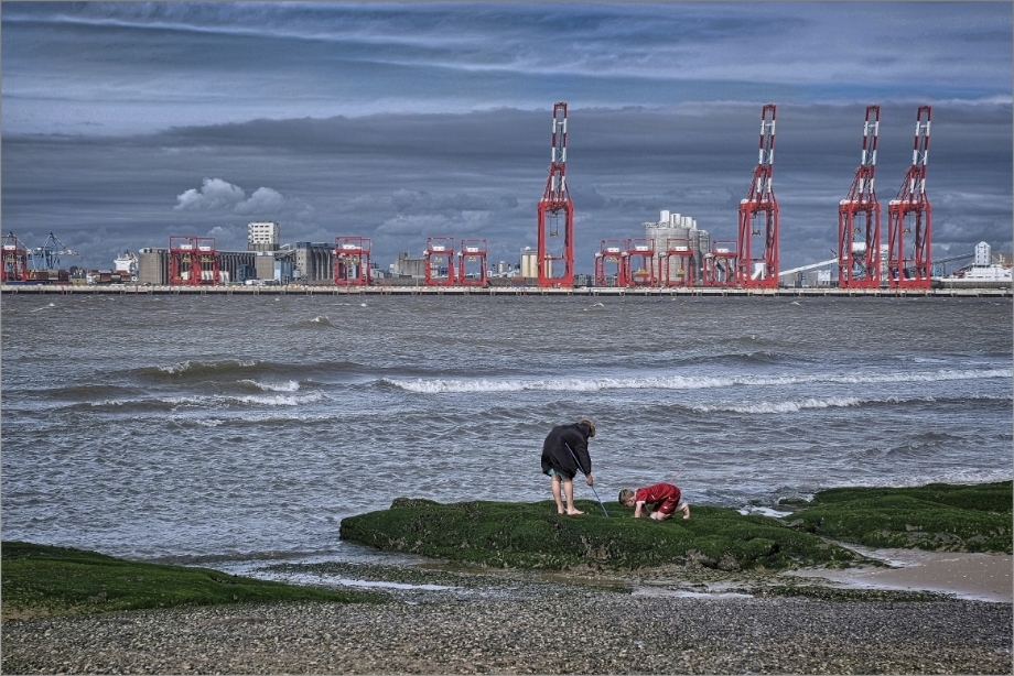 Boys exploring rock pools on the Mersey foreshore
