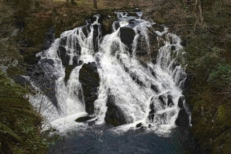 swallow falls